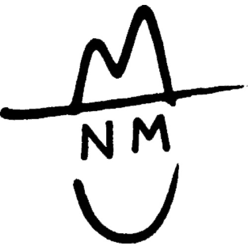 Stylized New Mexico graphic.
