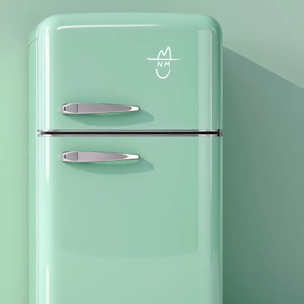 Mint green retro-style refrigerator with chrome handles and a white logo on the top door.